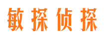 天峨侦探公司